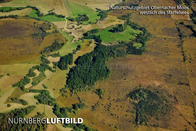 Naturschutzgebiet Obernacher Moos, westlich des Staffelsees, Luftaufnahme