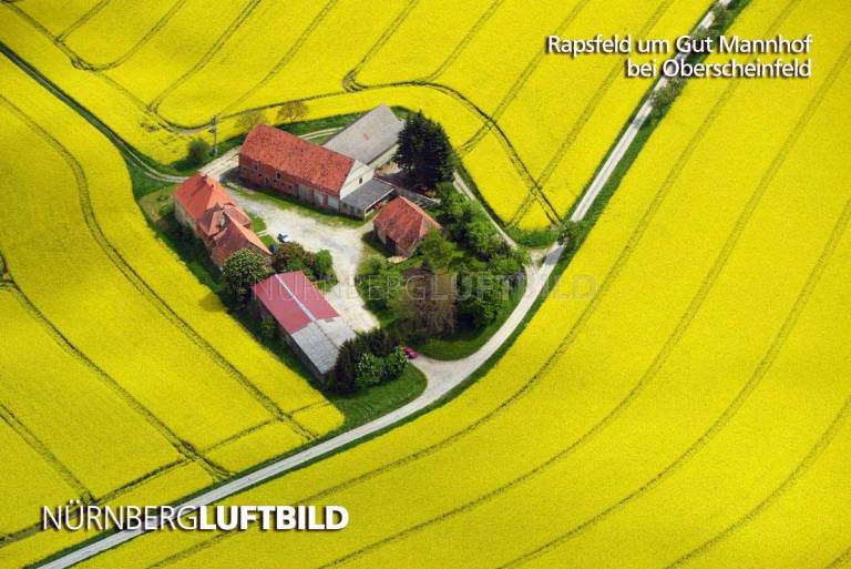 Rapsfeld um Gut Mannhof bei Oberscheinfeld, Luftbild
