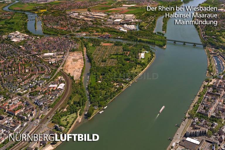 Der Rhein bei Wiesbaden, Halbinsel Maaraue, Mainmündung