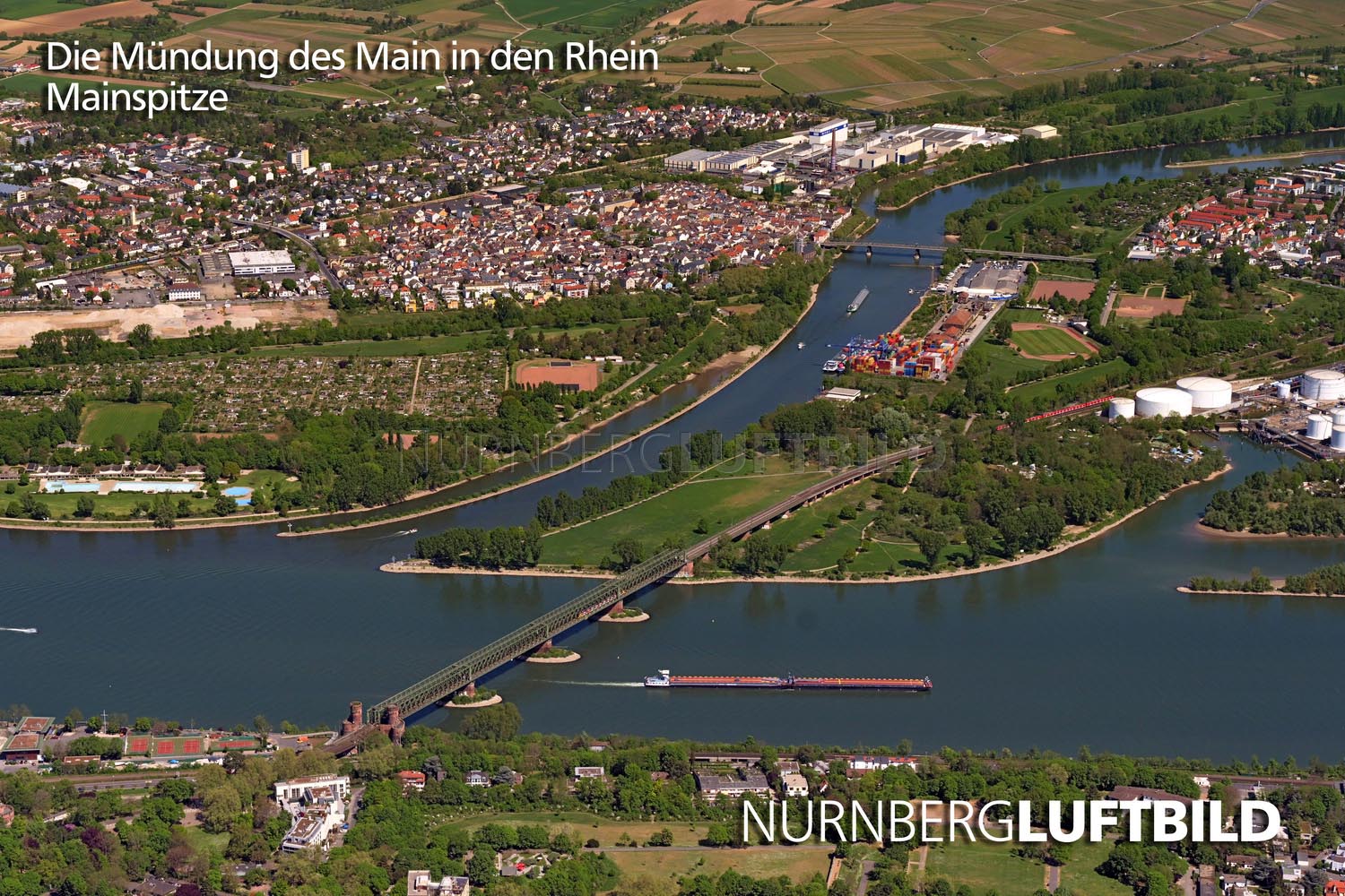Die Mündung des Main in den Rhein, Mainspitze