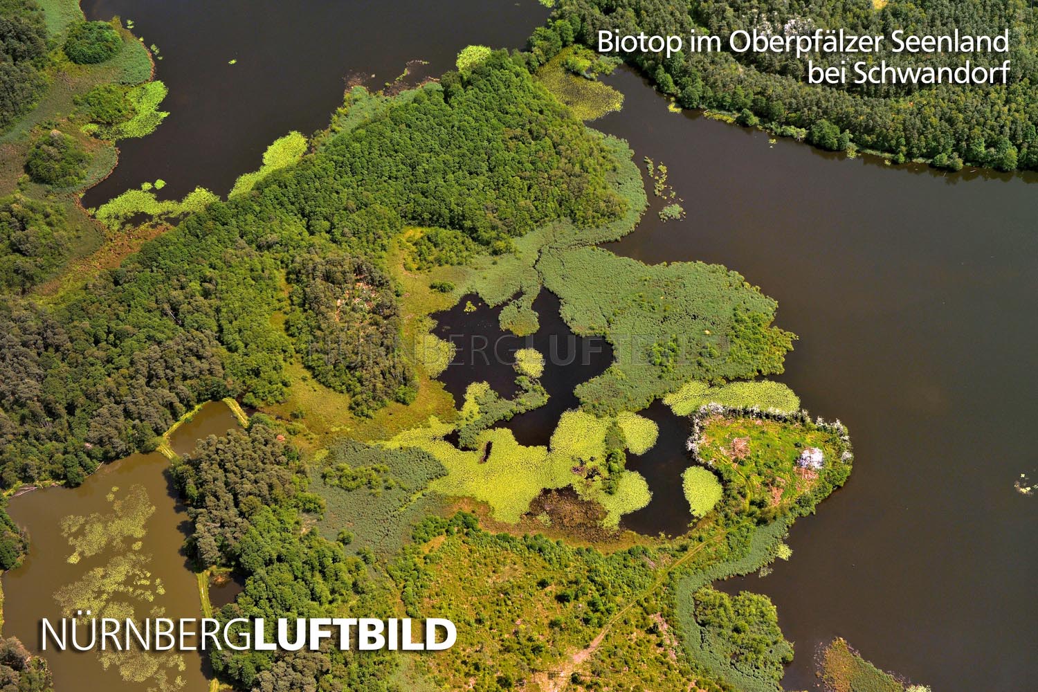 Biotop im Oberpfälzer Seenland bei Schwandorf