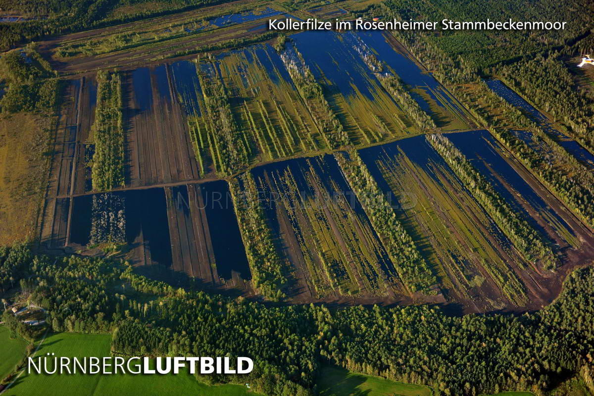 Kollerfilze im Rosenheimer Stammbeckenmoor, Luftaufnahme