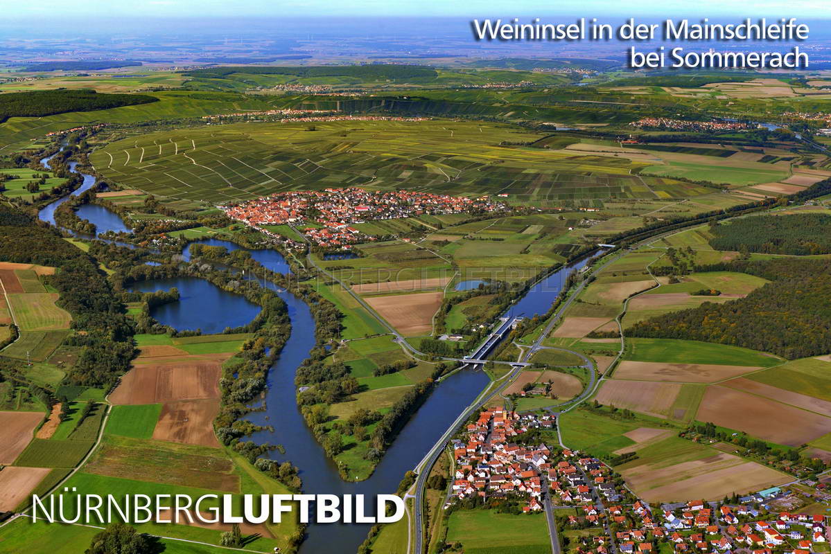 Weininsel in der Mainschleife bei Sommerach, Luftaufnahme