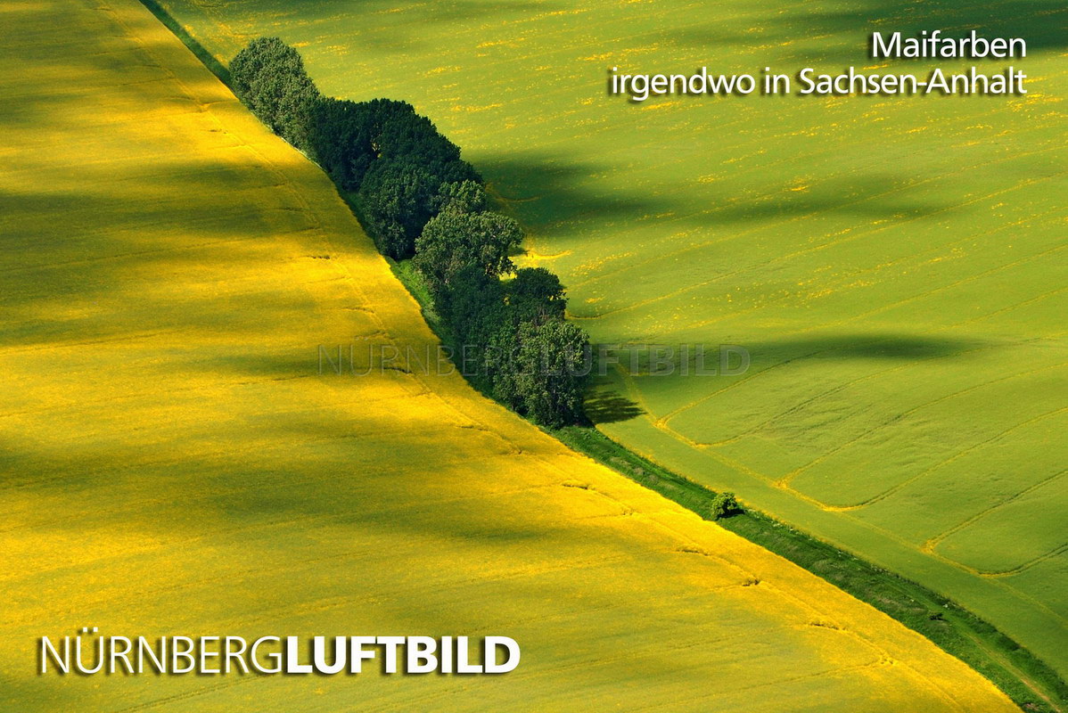 Maifarben, irgendwo in Sachsen-Anhalt