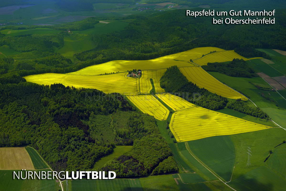 Rapsfeld um Gut Mannhof bei Oberscheinfeld, Luftaufnahme