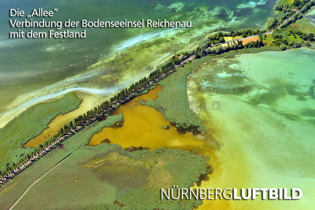 Die "Allee", Verbindung der Bodenseeinsel Reichenau mit dem Festland, Luftaufnahme