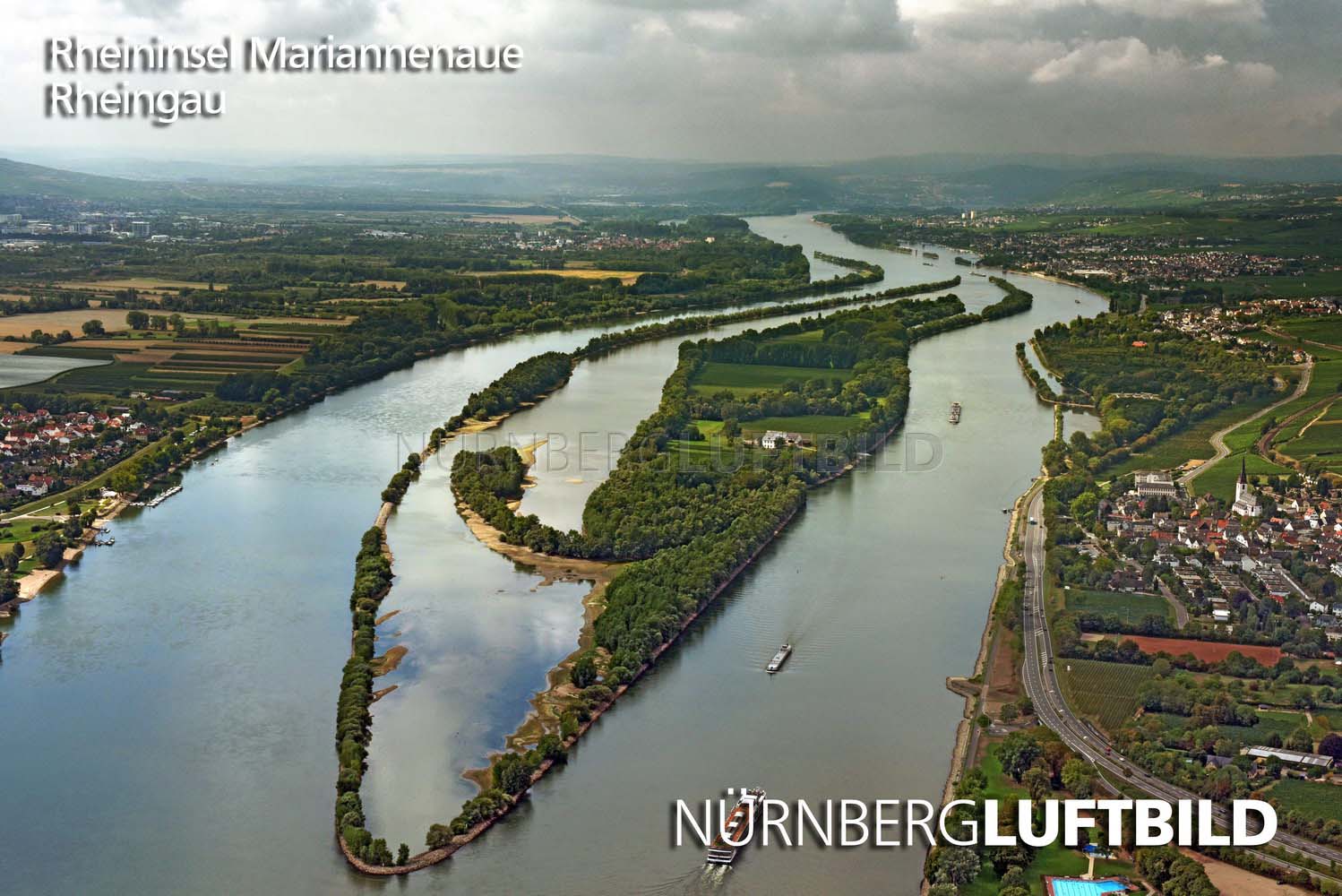 Rheininsel Mariannenaue, Rheingau, Luftaufnahme